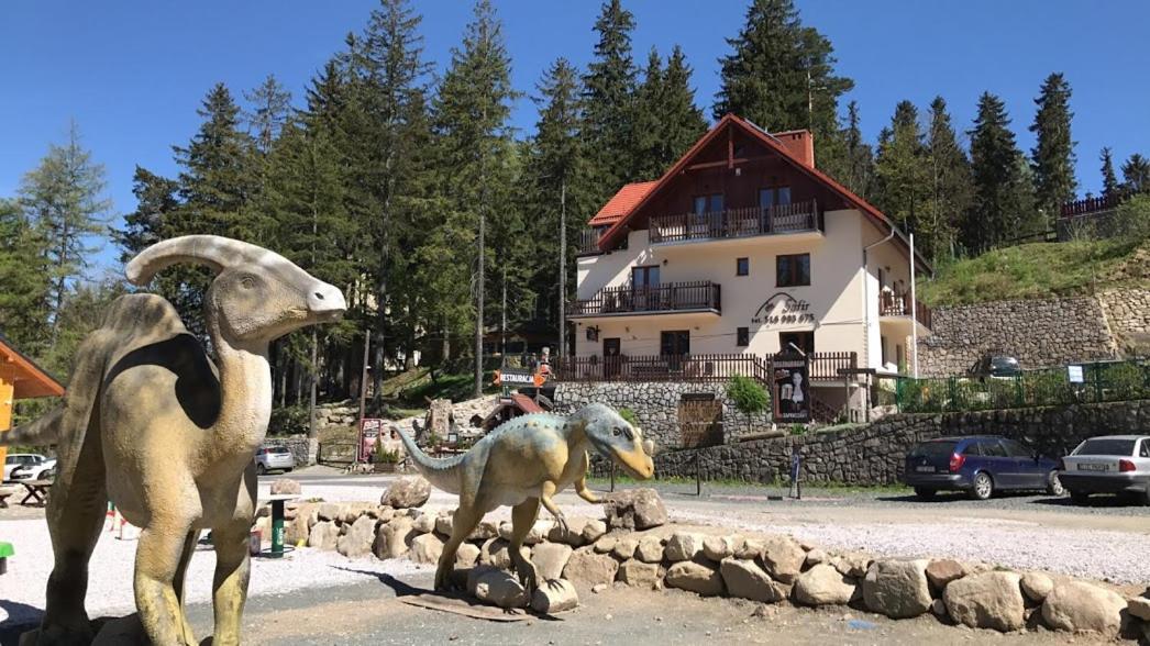 Safir Przy Samym Wyciagu Bed & Breakfast Karpacz Exterior photo