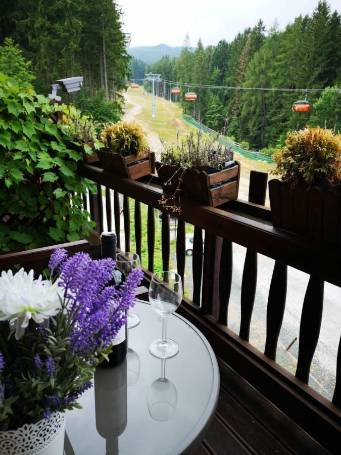 Safir Przy Samym Wyciagu Bed & Breakfast Karpacz Exterior photo