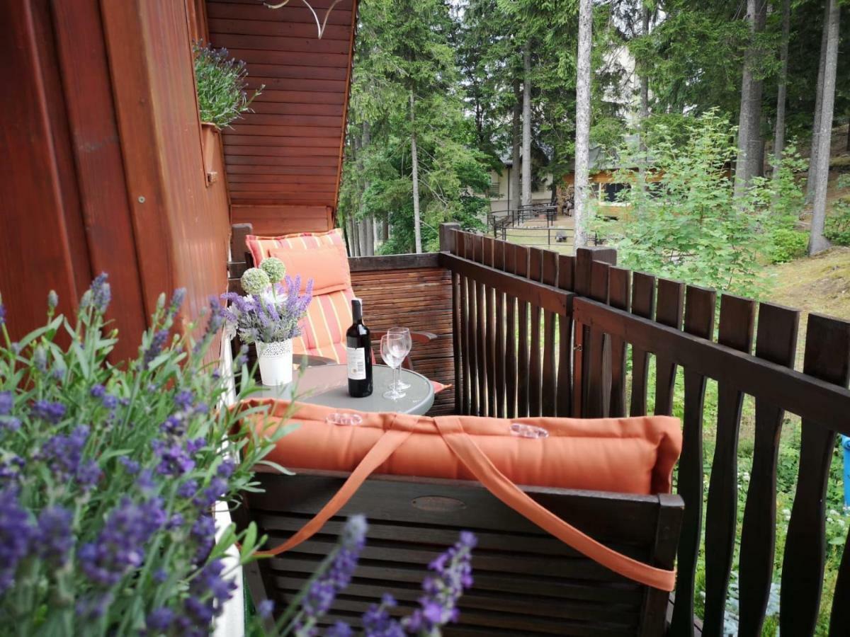 Safir Przy Samym Wyciagu Bed & Breakfast Karpacz Exterior photo